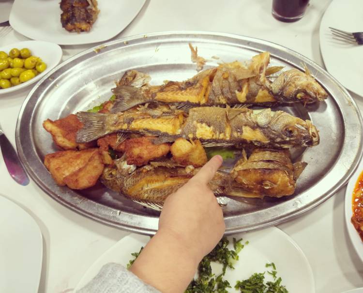 מלך הדגים, נצרת