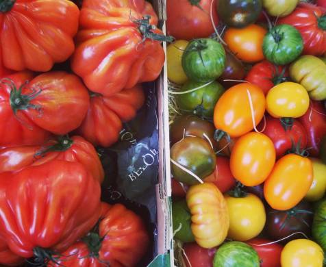 עגבניות בשוק וינטרפלד מרקט. ברלין 