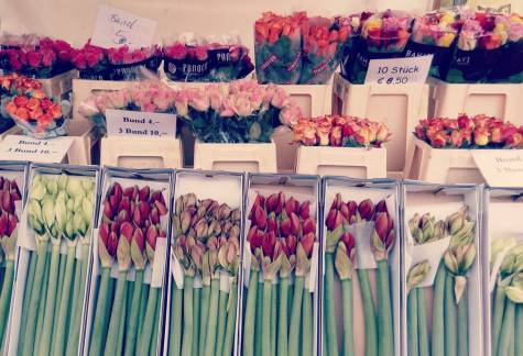 פרחים בשוק וינטרפלד מרקט. ברלין