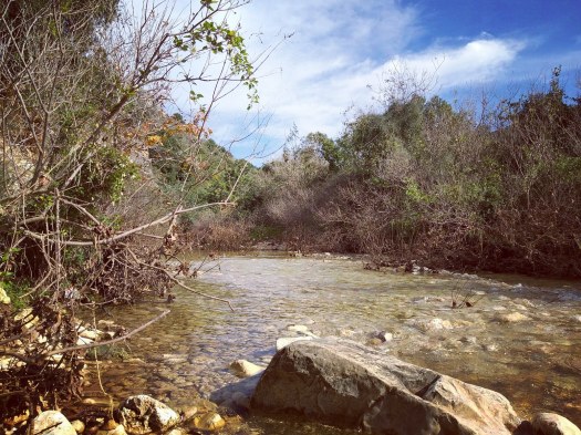 המים של עין חרדלית