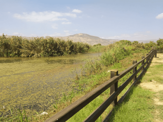 גן לאומי עמק החולה