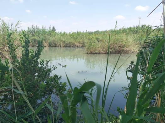 נוף מפינה בפארק המעיינות, נחל הקיבוצים