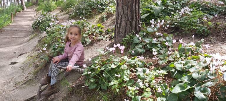 מפלי רז- יער הרקפות