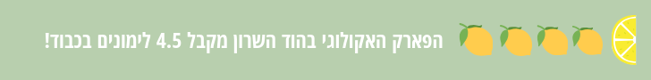 מדד לימונים, בלוג לימונצ'לו 