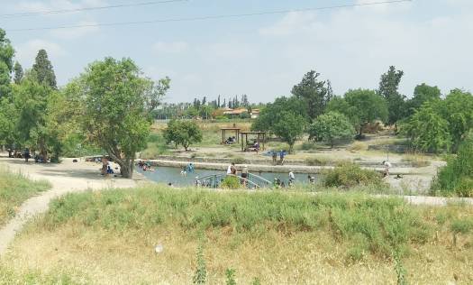 הבריכה הראשית של נחל הקיבוצים