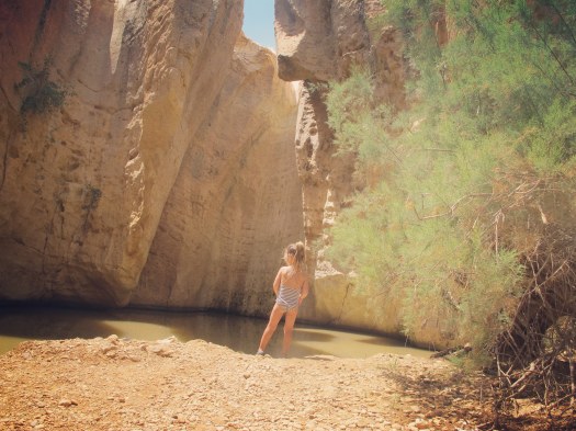 ילדה מסתכלת על המים, שמורת עין ירקעם