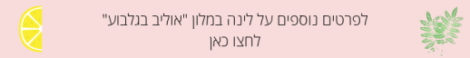קישור אוליב בגלבוע.png