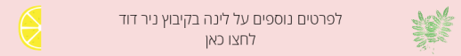 קישור ניר דוד.png