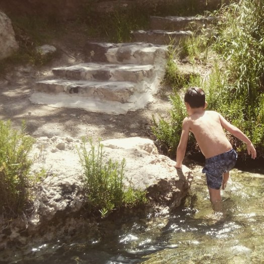 ילד יוצא מהמים לעבר מדרגות- הסחנה- גן לאומי גן השלושה