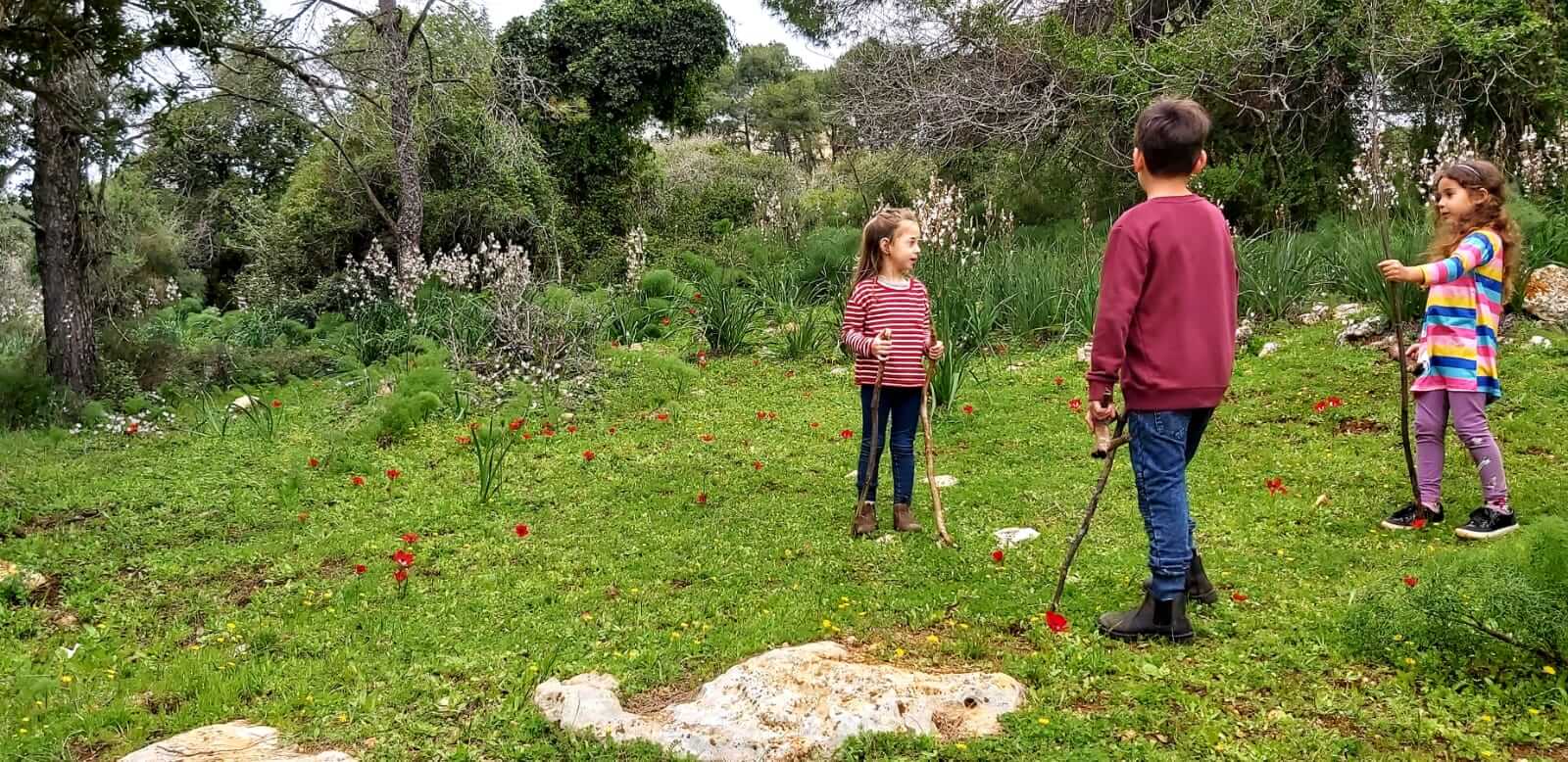 שביל סובב הר תבור