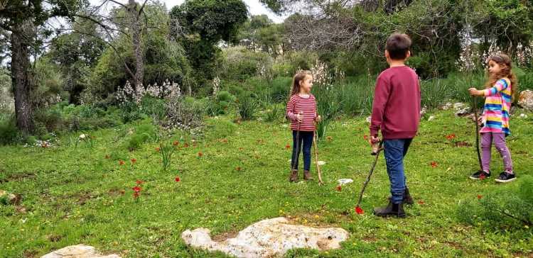 שביל סובב הר תבור