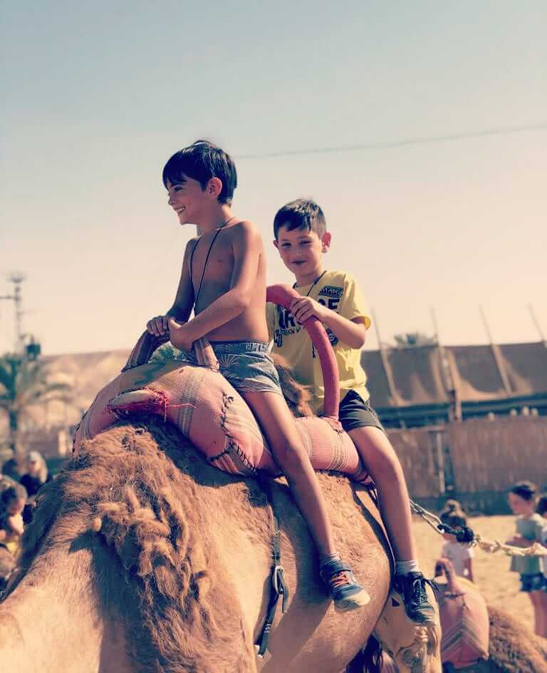 רכיבה על גמלים בכפר הנוקדים