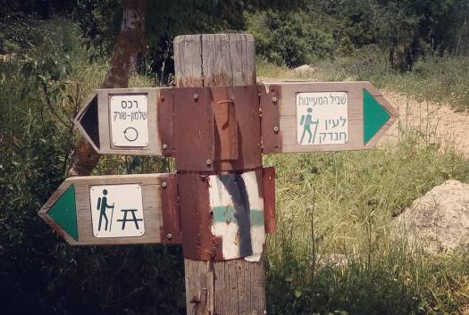 התפצלות דרכים- לעין חנדק או לרכס שלמון- שורק