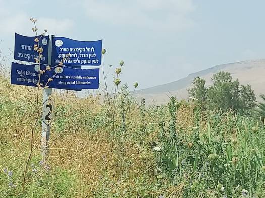 פארק המעיינות, שלט הכוונה 