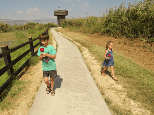 מטיילים בעמק החולה