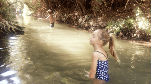 ילדים בתוך המים של שמורת המג'רסה