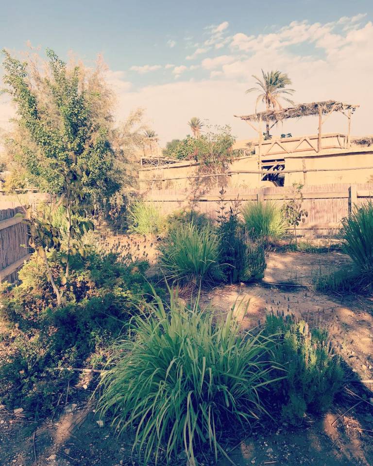 עוד פינה בכפר הנוקדים