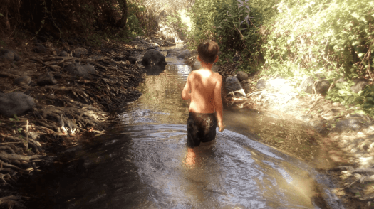 ילד הולך בתוך המים של שמורת המג'רסה