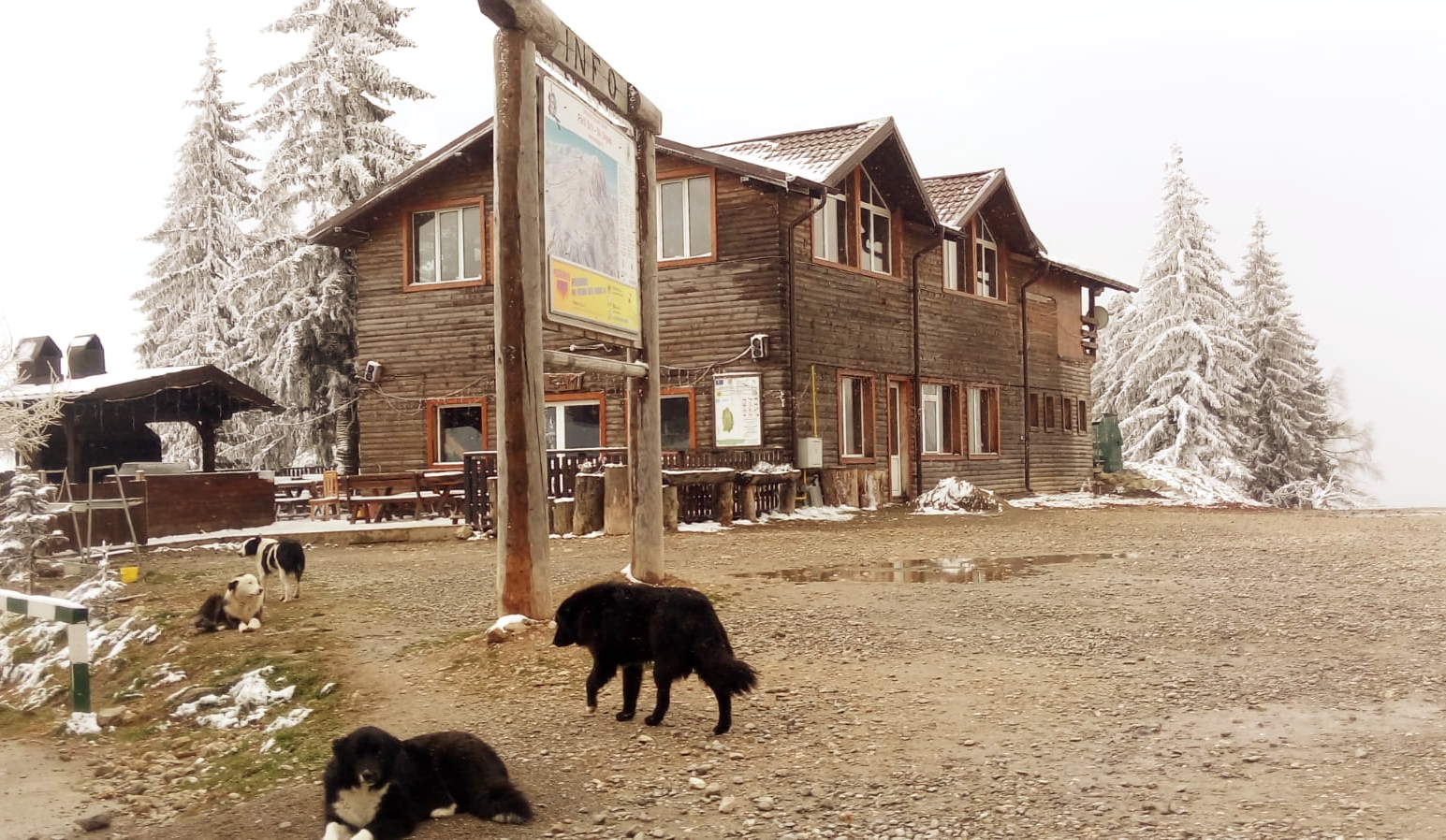 22- לא מכווץ.jpeg