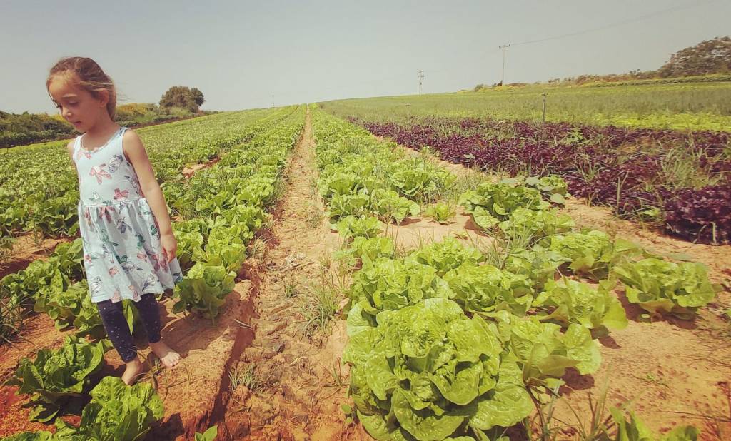 גיל בשדה- טבע, פרחים
