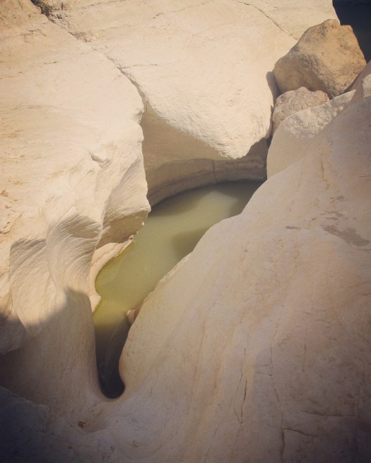 מבט על סלעים ומים בשמורת עין ירקעם, ישראל