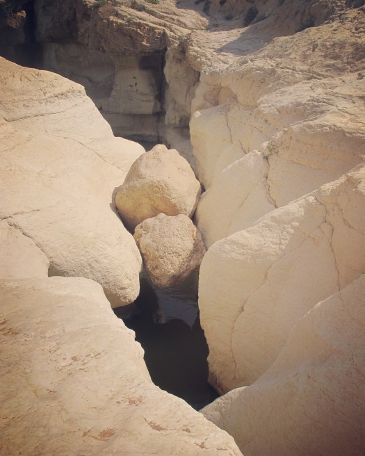 סלעים ומים. שמורת עין ירקעם