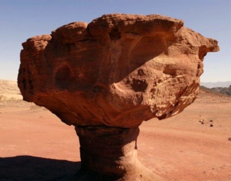 הפטריה בפארק תמנע