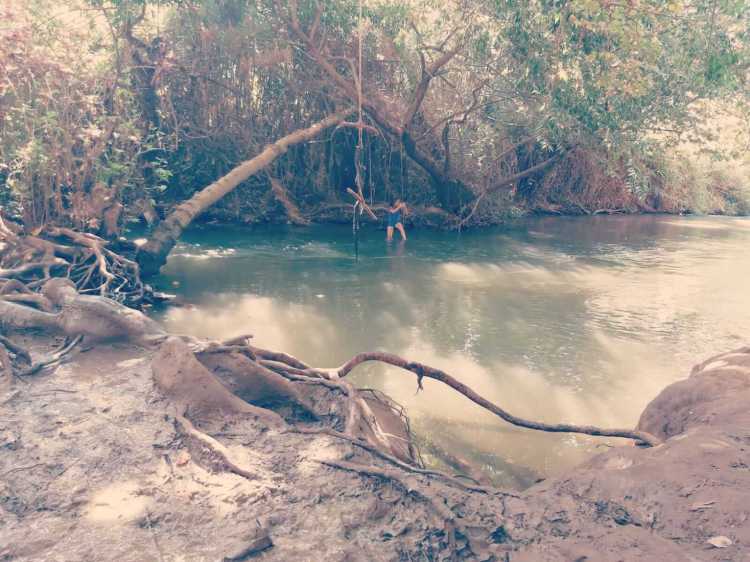 חורשת הנופלים