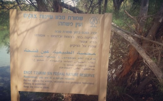 שלט אודות שמורת הטבע עיינות צוקים- עין פשחה, במסלול הסודי שבשמורה