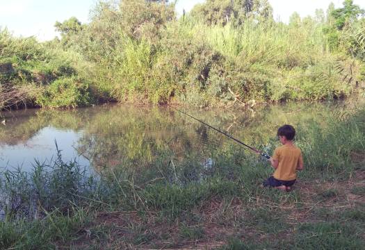 ילד דג בנהר הירדן