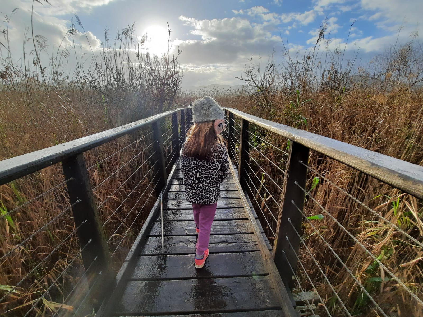 סוף שבוע בגליל העליון