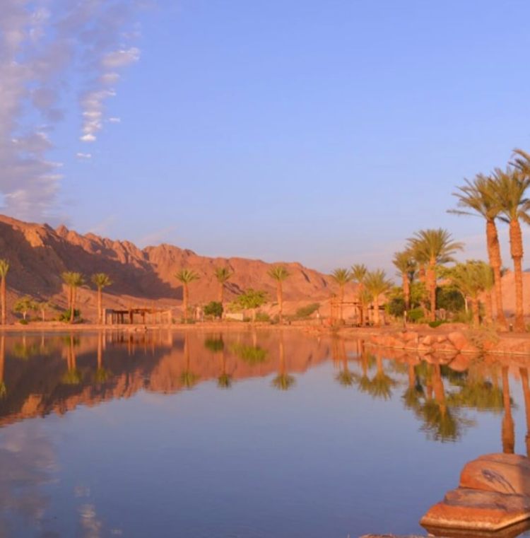 האגם בפארק תמנע. אילת