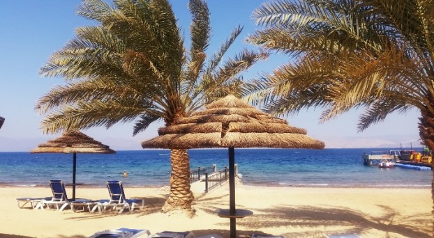 החוף של טאלה ביי, עקבה 