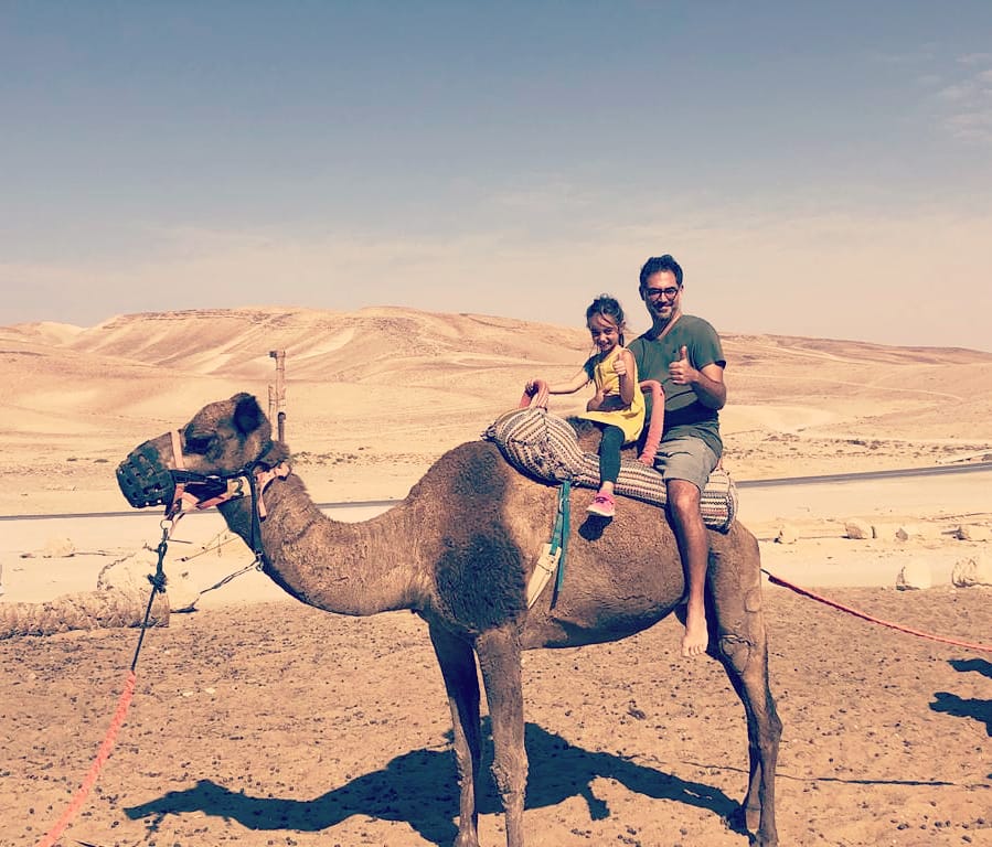 גמלים בכפר הנוקדים