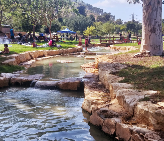 מעיין חרוד. השכשוכיות שבמתחם הגן