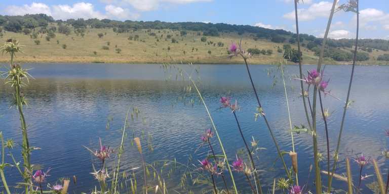 מפלי רז- מאגר גלעד